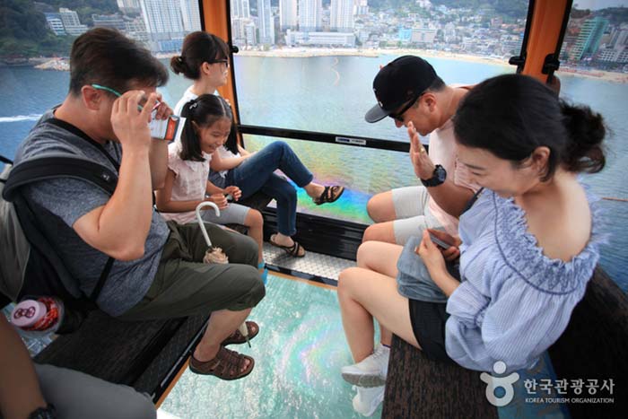 Kristallkreuzfahrt mit transparentem Boden - Seo-gu, Busan, Korea (https://codecorea.github.io)