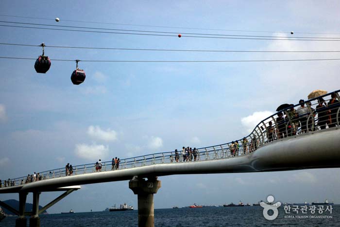 La mer que je veux, tout y est. Téléphérique maritime de Busan Songdo - Seo-gu, Busan, Corée
