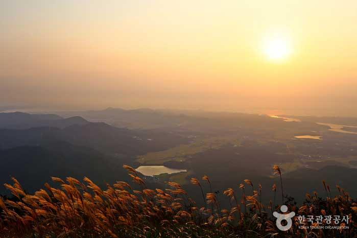 Visite d'automne de Boryeong Oseosan où se mélangent l'herbe argentée, le champ doré et le coucher de soleil de la mer de l'Ouest - Boryeong, Chungnam, Corée