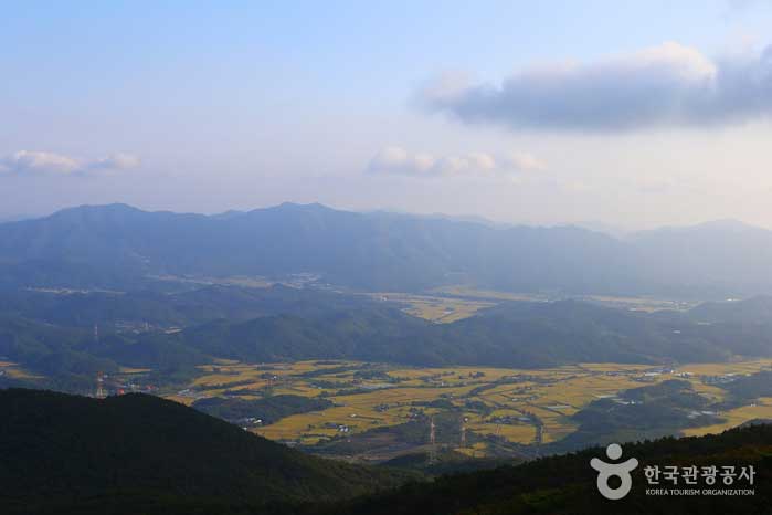 Herbstfeld im Herbst - Boryeong, Chungnam, Korea (https://codecorea.github.io)