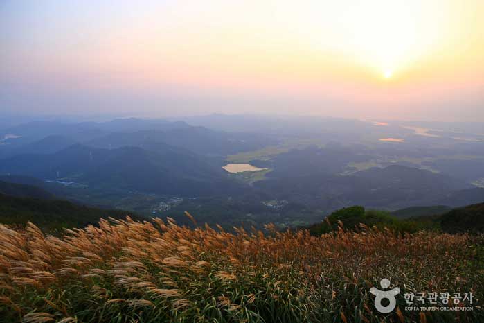 Paysage d'Oseosan au coucher du soleil avec l'herbe argentée, la mer et les plaines - Boryeong, Chungnam, Corée (https://codecorea.github.io)