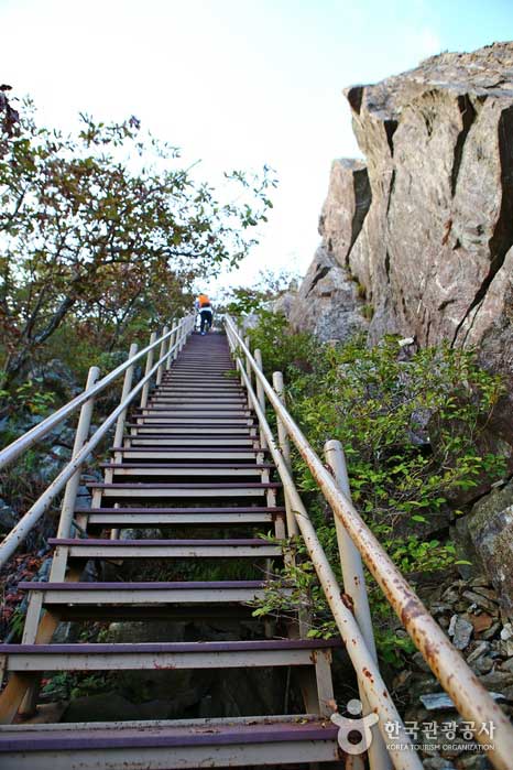 Когда вы проходите железную лестницу, появляется панорамный вид. - Борён, Чунгнам, Корея (https://codecorea.github.io)