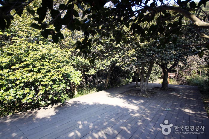 Hay una terraza en el medio de la colina donde puedes descansar un rato. - Gwangyang, Jeonnam, Corea (https://codecorea.github.io)