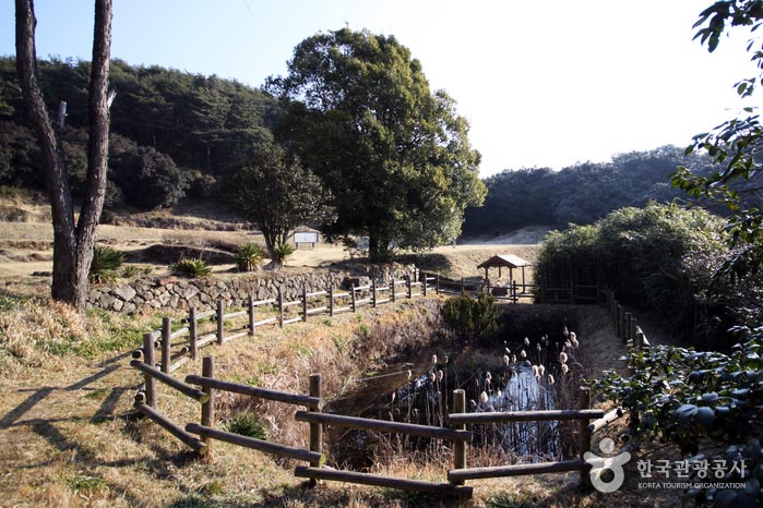 There is a small pond on the way to and from Chamseon-gil - Gwangyang, Jeonnam, Korea (https://codecorea.github.io)