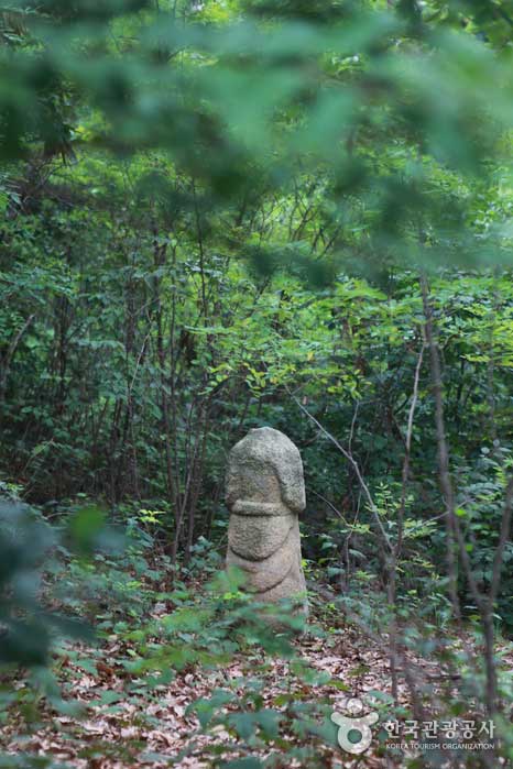 チョアンさんの朝鮮郡の墓でよく見られる場面です。 - 韓国ソウル市ノウォン区 (https://codecorea.github.io)