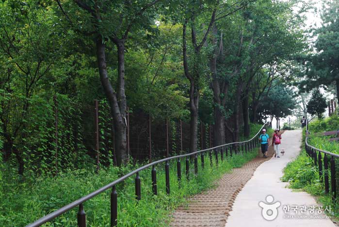 Promenade leading to the summit at the Choanshan Changgol District - Nowon-gu, Seoul, Korea (https://codecorea.github.io)
