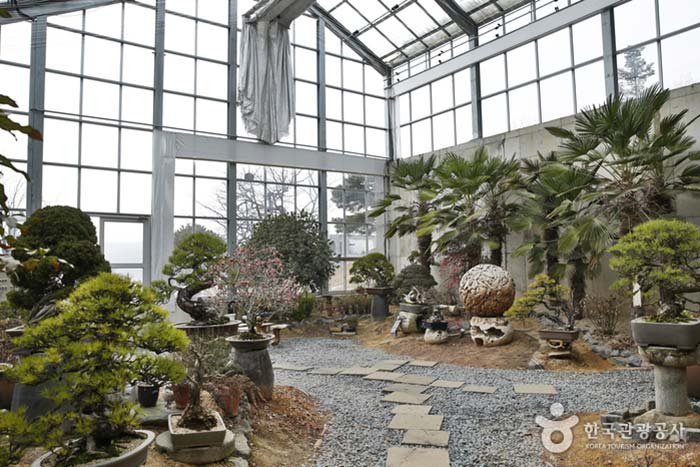 Inside a warm greenhouse full of green - Paju-si, Gyeonggi-do, Korea (https://codecorea.github.io)