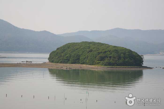 卡瑪克島常綠森林，被指定為天然紀念物 - 韓國全羅南道江津郡 (https://codecorea.github.io)