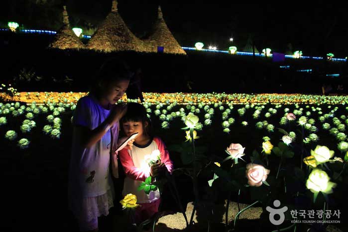 Девушки в розовом саду - Ванджу-гун, Чоллабук-до, Корея (https://codecorea.github.io)