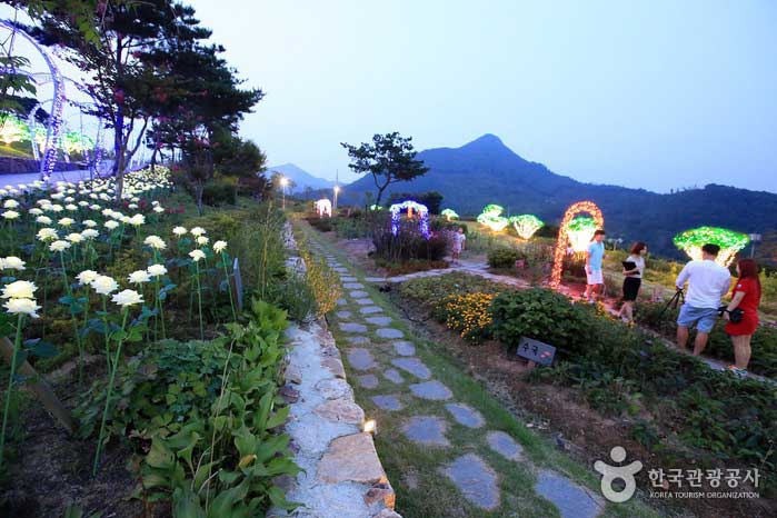 月明かりの庭園が照らされています。 - 韓国全羅北道ワンジュ郡 (https://codecorea.github.io)