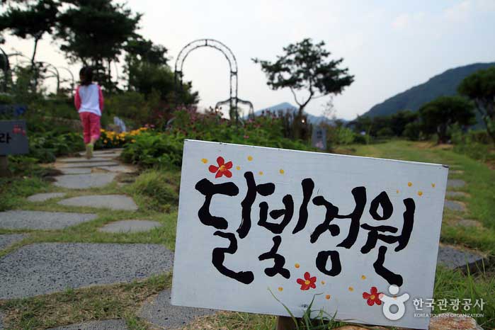 Jardín a la luz de la luna lleno de flores y hierbas - Wanju-gun, Jeollabuk-do, Corea (https://codecorea.github.io)