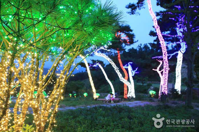Ein Windgarten mit einer schönen Kieferndekoration - Wanju-gun, Jeollabuk-do, Korea (https://codecorea.github.io)