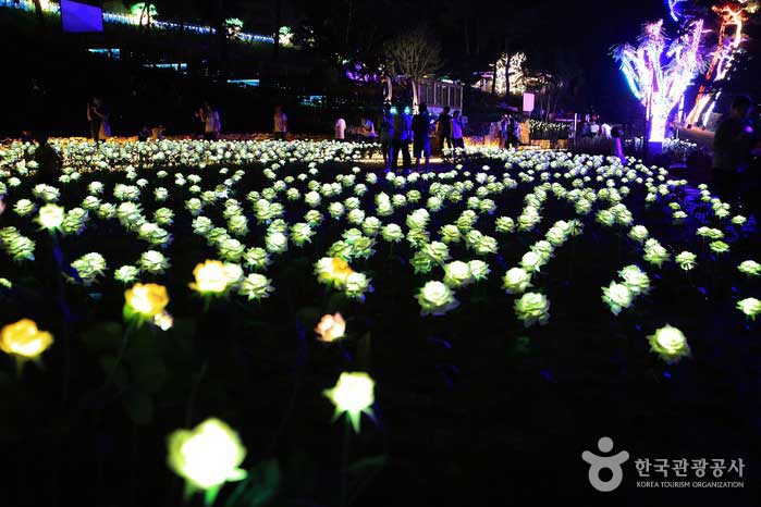 Romantische Lichter, die die Herbstnacht sticken, Fuchslichter in den Bergen von Wanju - Wanju-gun, Jeollabuk-do, Korea