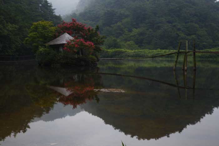 Even the scenery of Shihodo <Photo courtesy of Shihodo> - Goheung-gun, Jeonnam, Korea (https://codecorea.github.io)