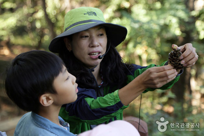 El único programa que está en marcha es el Grasshopper Infant Forest Experience Center. - Geumcheon-gu, Seúl, Corea (https://codecorea.github.io)