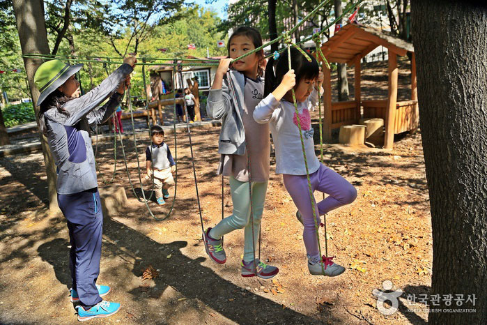 Niños jugando saltamontes en la experiencia del bosque infantil - Geumcheon-gu, Seúl, Corea (https://codecorea.github.io)