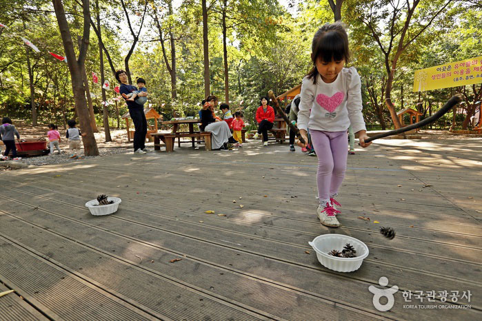Schon ein einziger Tannenzapfen macht Spaß - Geumcheon-gu, Seoul, Korea (https://codecorea.github.io)