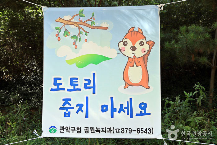 Ne ramassez pas de glands pour les animaux de la forêt. - Geumcheon-gu, Séoul, Corée (https://codecorea.github.io)