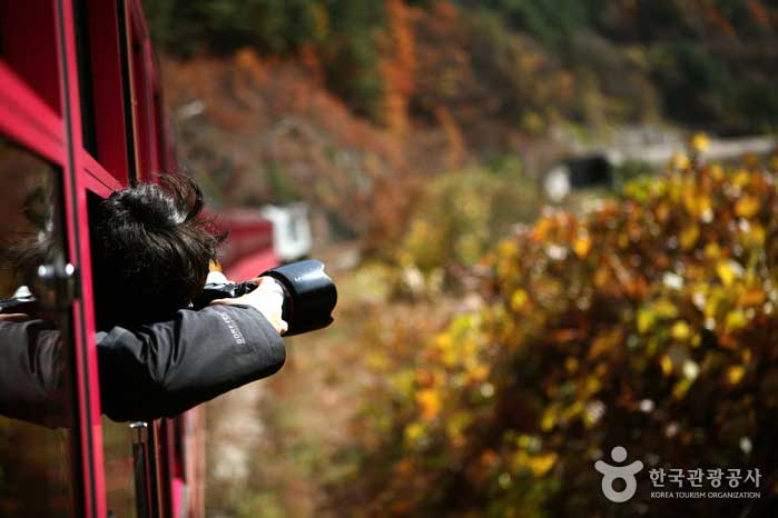 白頭台の渓谷列車V列車であるN東江の渓流に沿って渓谷の景色をお楽しみください - 韓国江原道太白市