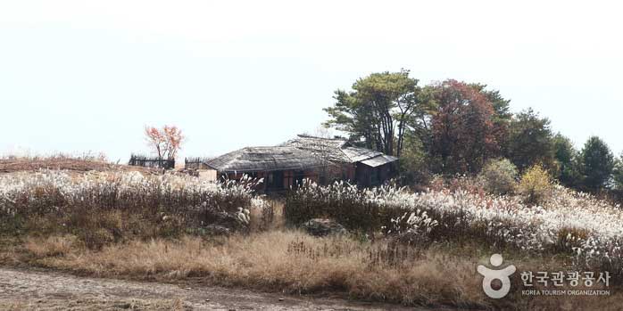 Une maison de diamètre intérieur située au milieu d'un champ d'herbe argentée - Yangpyeong-gun, Gyeonggi-do, Corée (https://codecorea.github.io)