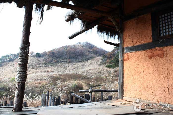 Un campo de hierba plateada más allá de la puerta trasera visto desde el piso de la casa con techo de paja - Yangpyeong-gun, Gyeonggi-do, Corea (https://codecorea.github.io)