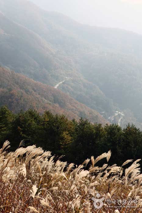 Осенний пейзаж вдоль дороги до места, где <Swanaejae> - Yangpyeong-gun, Кёнгидо, Корея (https://codecorea.github.io)