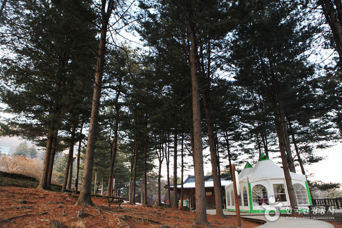Abri dans l'arboretum du matin calme pour soulager le froid - Gapyeong-gun, Gyeonggi-do, Corée (https://codecorea.github.io)