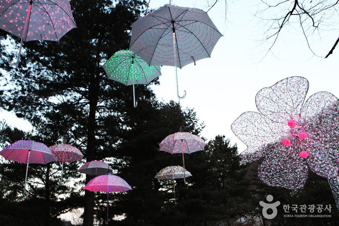 Parapluie d'Eden Garden nouvellement installé cette année - Gapyeong-gun, Gyeonggi-do, Corée (https://codecorea.github.io)