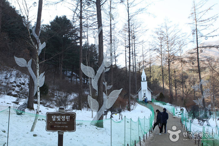 Arboretum calme du matin avant l'éclairage - Gapyeong-gun, Gyeonggi-do, Corée (https://codecorea.github.io)