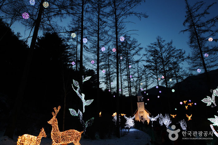 Le conte de fées d'hiver se réunit dans l'arboretum enneigé, Morning Calm Arboretum - Gapyeong-gun, Gyeonggi-do, Corée