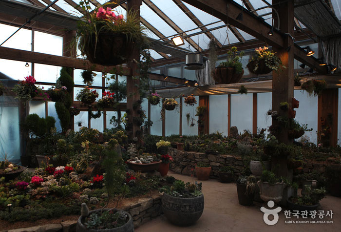 ‘Great greenhouse’ located at the base of Eden Garden - Gapyeong-gun, Gyeonggi-do, Korea (https://codecorea.github.io)