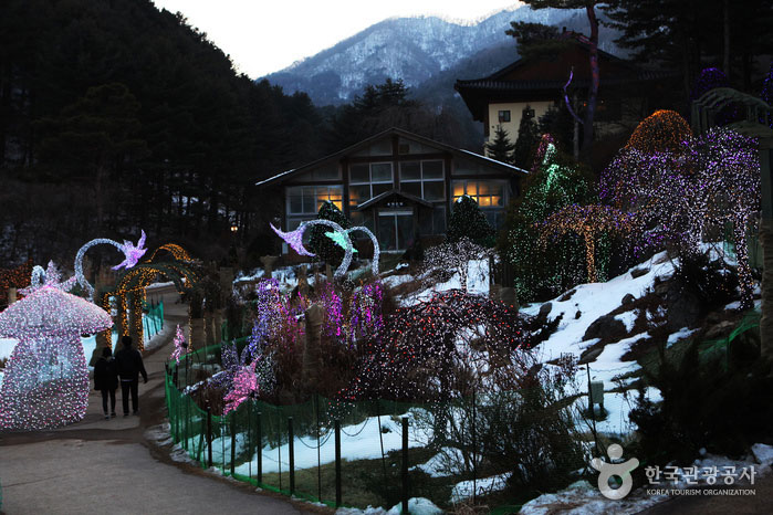 "Großes Gewächshaus" am Fuße des Eden Garden - Gapyeong-gun, Gyeonggi-do, Korea (https://codecorea.github.io)