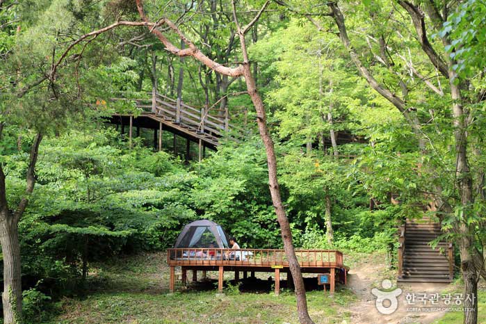 Un camping rodeado de bosque. - Yongin-si, Gyeonggi-do, Corea (https://codecorea.github.io)