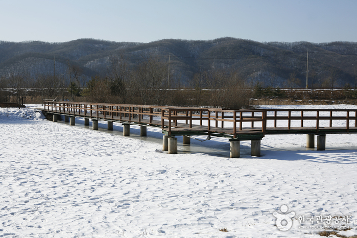 Wooden deck walkway at Gyeongancheon Wetland Ecological Park - Gwangju, Gyeonggi-do, Korea (https://codecorea.github.io)