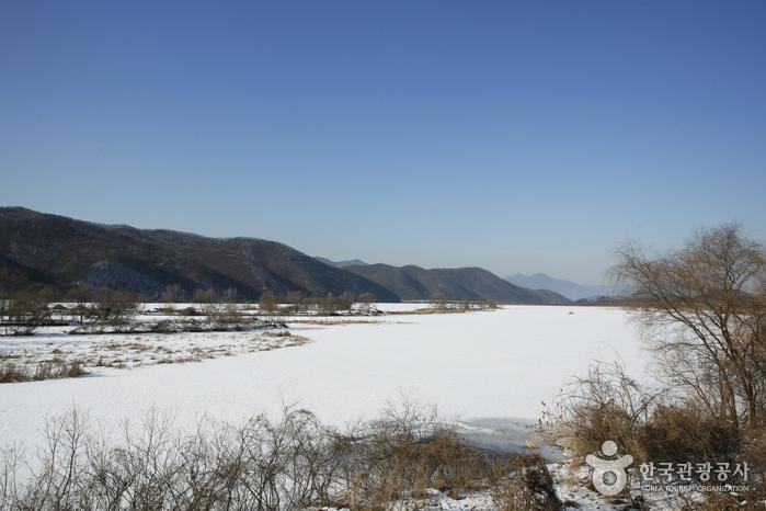 A lo largo de la corriente congelada, 'exposición cálida' Gwangju Gyeongancheon, Bunwon-ri - Gwangju, Gyeonggi-do, Corea
