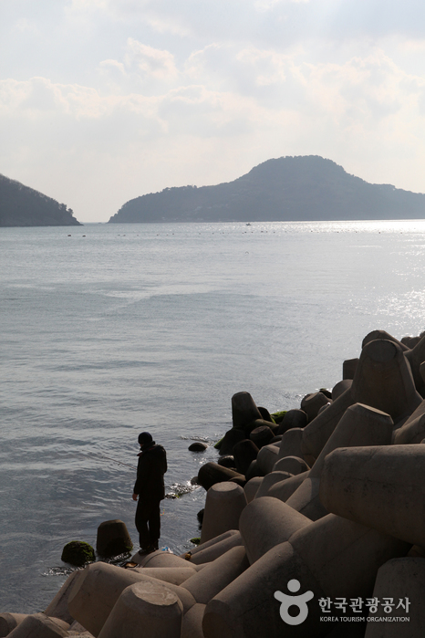 防波堤には釣りに来る人が大勢いました。 - 韓国慶南市巨済市 (https://codecorea.github.io)