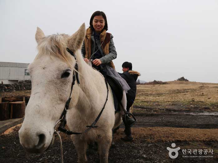 您也可以在非騎馬路線上體驗騎馬。 - 韓國濟州島西歸浦市 (https://codecorea.github.io)