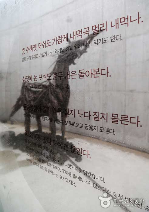 我在玻璃窗上寫下了與馬有關的有趣的濟州諺語。 - 韓國濟州島西歸浦市 (https://codecorea.github.io)