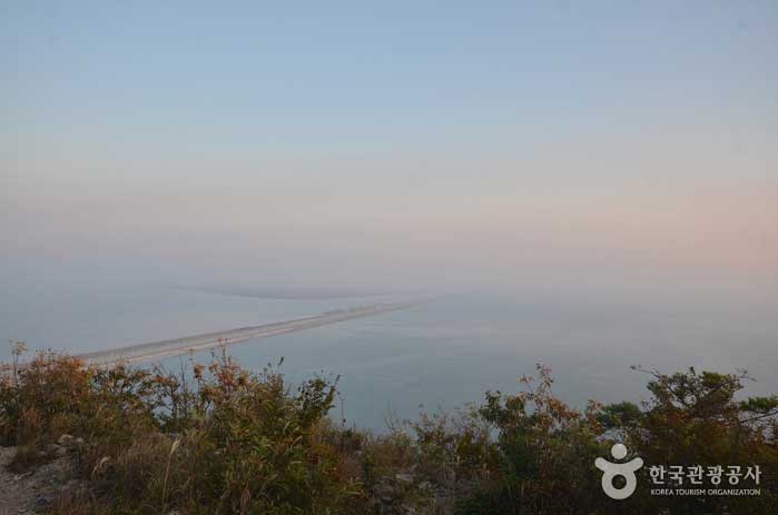 山頂から下り坂で見られるセマングム堤防 - 群山、全北、韓国 (https://codecorea.github.io)
