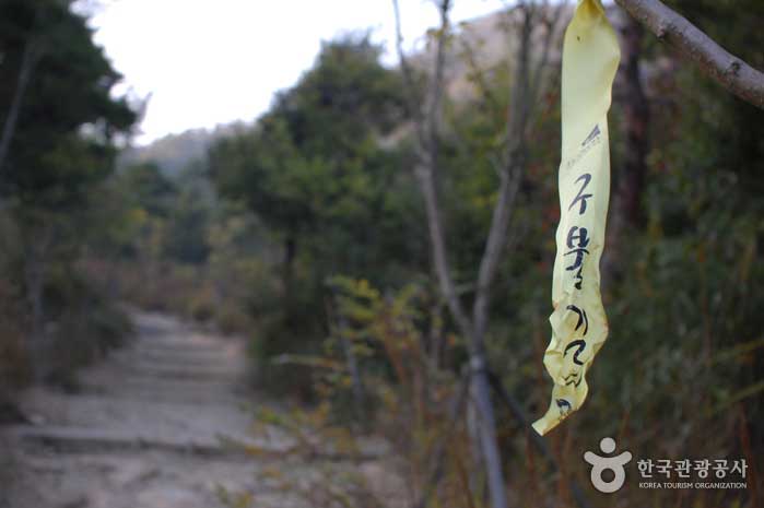 Yellow ribbon to indicate winding - Gunsan, Jeonbuk, Korea (https://codecorea.github.io)