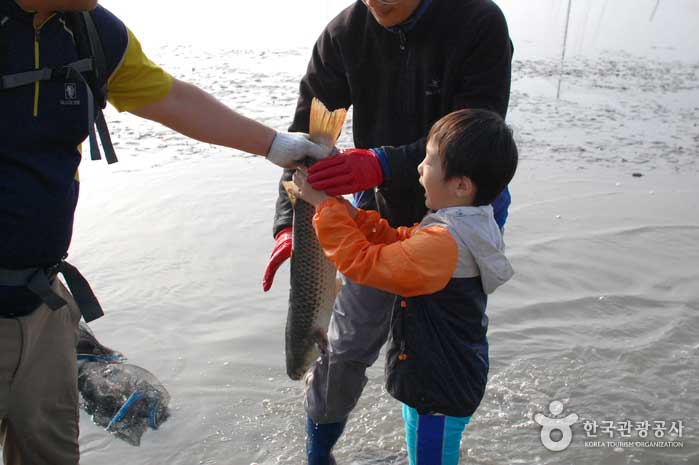Estado de los niños disfrutando de Gaemagi - Gunsan, Jeonbuk, Corea (https://codecorea.github.io)