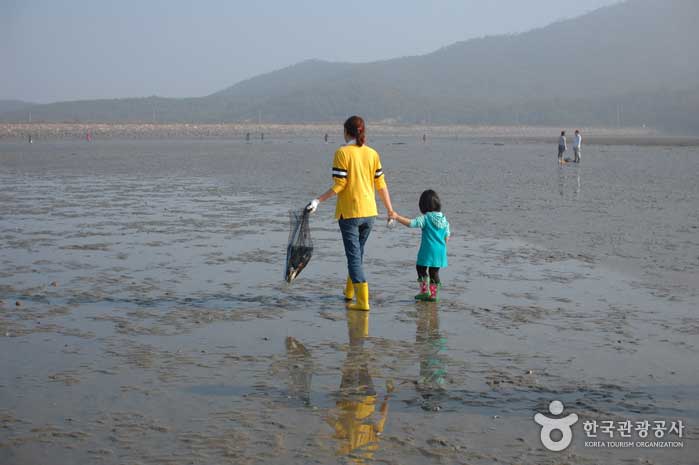 Ein Kind hält die Hand seiner Mutter und schaut über das Wattenmeer - Gunsan, Jeonbuk, Korea (https://codecorea.github.io)