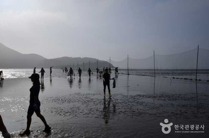 Gunsan, Jeonbuk, Korea - Gunsan Sinsi-do, ein Ort, um Salzwasserfische zu fangen