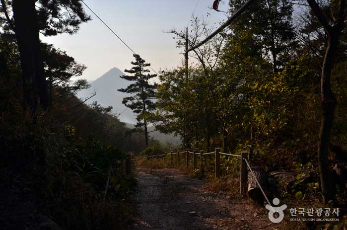 セマングムサービスエリアの後ろにあるウォリョンジェへの道 - 群山、全北、韓国 (https://codecorea.github.io)