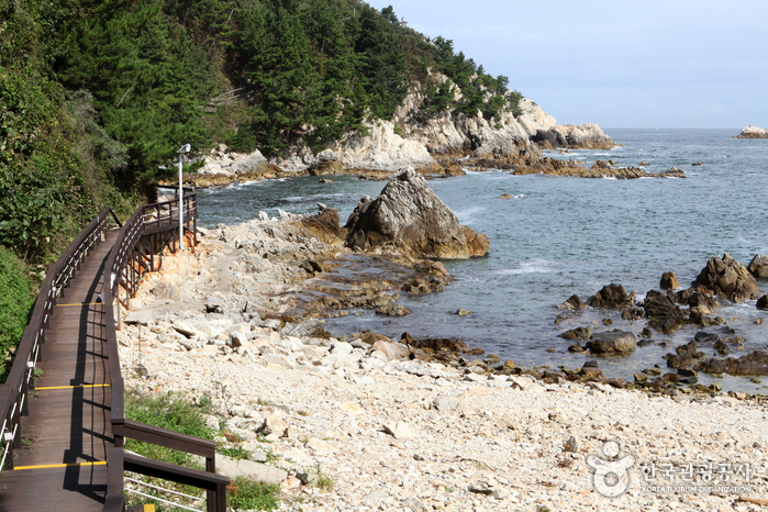 Es gibt Deck Gehwege am Strand des Parks. - Samcheok, Gangwon, Korea (https://codecorea.github.io)