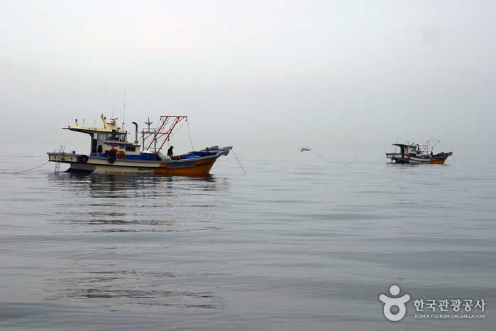 Schiffe, die herauskamen, um die Muschel im Morgengrauen zu fangen - Boryeong, Chungnam, Korea (https://codecorea.github.io)