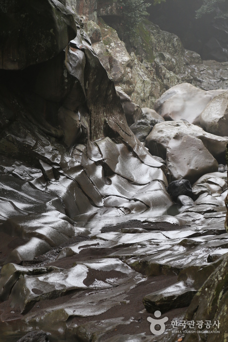 雨に濡れた岩は奇妙な雰囲気を作り出します。 - 韓国済州市済州市 (https://codecorea.github.io)