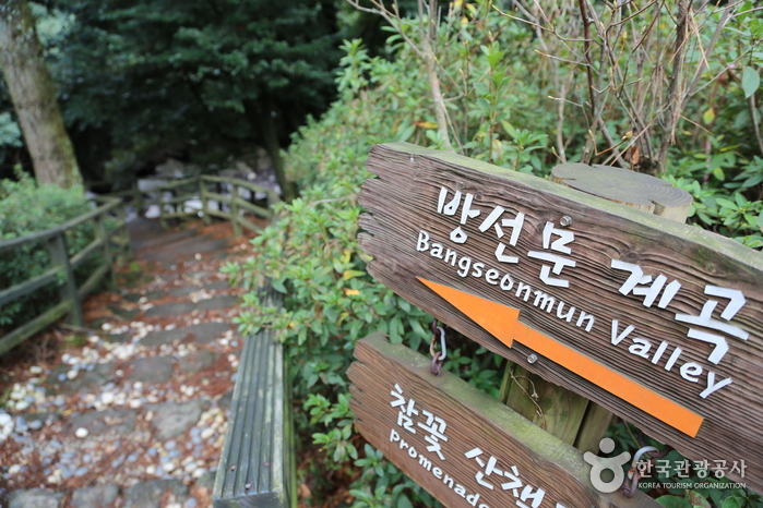 Escaleras bajando por el valle de Bangseonmun - Ciudad de Jeju, Jeju, Corea (https://codecorea.github.io)