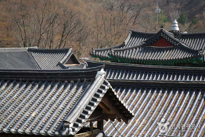 Toit du temple de Magoksa depuis Daeungbojeon - Gongju-si, Chungcheongnam-do, Corée (https://codecorea.github.io)