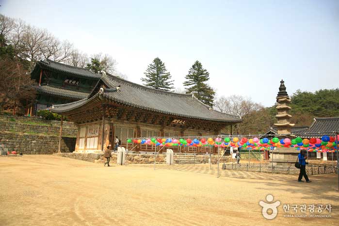 Daegwangbojeon y Daeungbobojeon, pagoda de cinco pisos desde los terrenos del Templo Magoksa - Gongju-si, Chungcheongnam-do, Corea (https://codecorea.github.io)